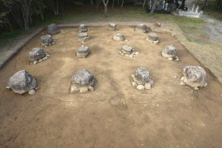 発掘された倉庫跡